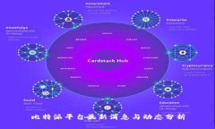 比特派平台最新消息与动态分析