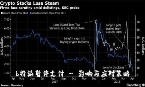 b特派暂停支付 - 影响与应对策略