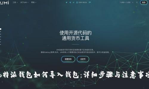 b特派钱包如何导入钱包：详细步骤与注意事项