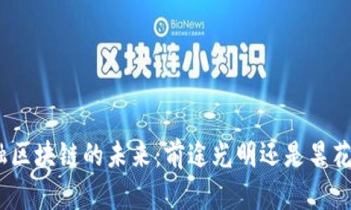 : 金融区块链的未来：前途光明还是昙花一现？