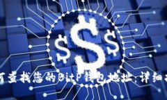 如何查找您的BitP钱包地址：详细指南