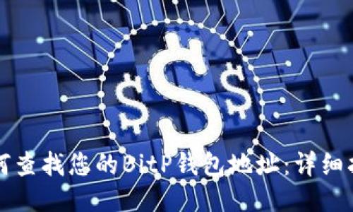 如何查找您的BitP钱包地址：详细指南