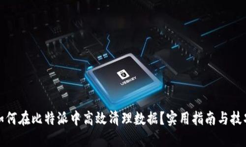 如何在比特派中高效清理数据？实用指南与技巧