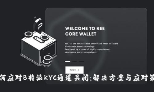 如何应对B特派KYC通道关闭：解决方案与应对策略