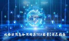 比特派钱包如何购买TRX能量？详尽指南