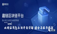 ```xml比特派钱包私钥开锁详解：安全与操作指南