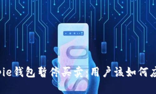 Bitpie钱包暂停买卖：用户该如何应对？