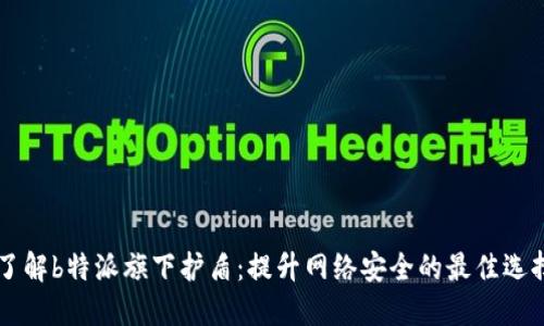 了解b特派旗下护盾：提升网络安全的最佳选择