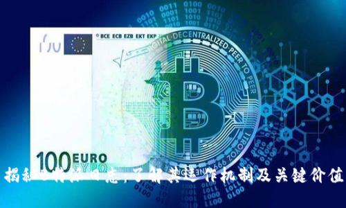 揭秘B特派日志：了解其运作机制及关键价值
