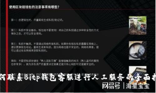 如何联系Bitp钱包客服进行人工服务的全面指南