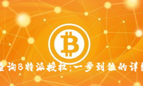 如何查询B特派授权：一步到位的详细指南
