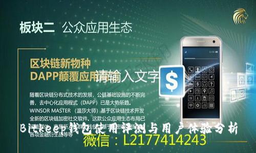 Bitkeep钱包使用评测与用户体验分析