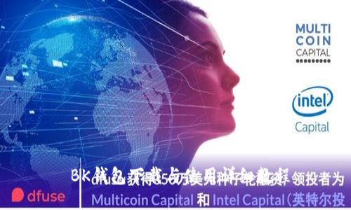  BK钱包下载与使用详细教程