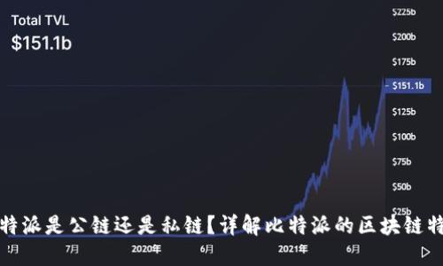 比特派是公链还是私链？详解比特派的区块链特性