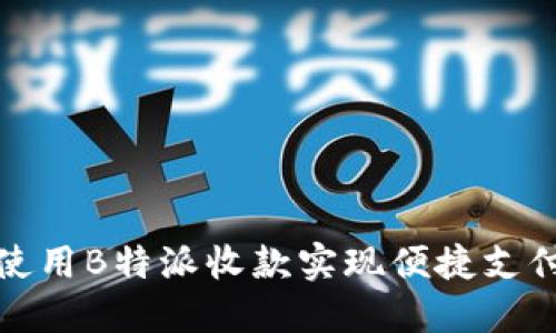 如何使用B特派收款实现便捷支付管理