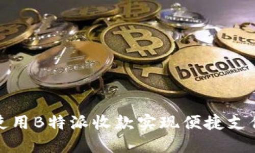 如何使用B特派收款实现便捷支付管理