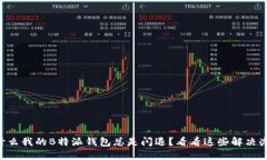为什么我的B特派钱包总是闪退？看看这些解决办