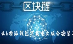 为什么b特派钱包下载中文版会安装不了？