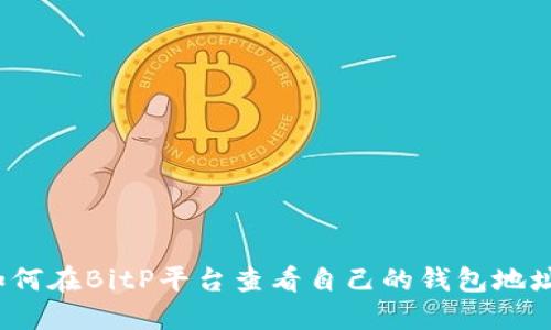如何在BitP平台查看自己的钱包地址？