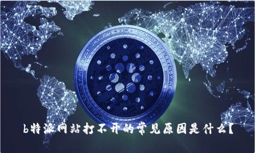 b特派网站打不开的常见原因是什么？