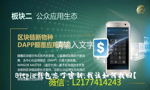 Bitpie钱包忘了密钥，我该如何找回？