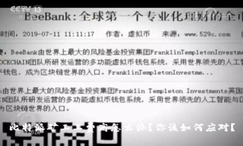 比特派矿工工费高怎么办？你该如何应对？