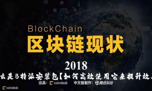 什么是B特派安装包？如何高效使用它来提升效率？