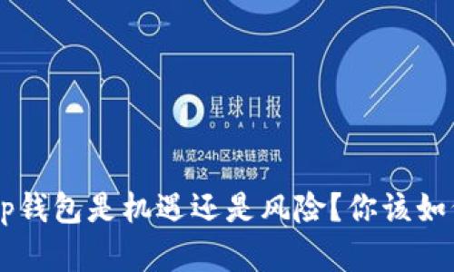 BitKeep钱包是机遇还是风险？你该如何选择？