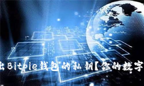 如何安全导出Bitpie钱包的私钥？你的数字资产安全吗？