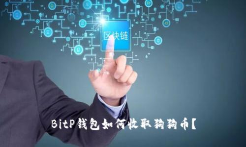 BitP钱包如何收取狗狗币？