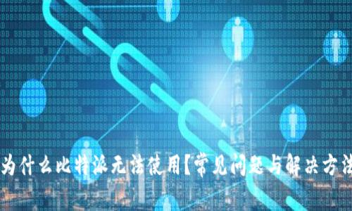 为什么比特派无法使用？常见问题与解决方法