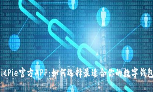 BitPie官方APP：如何选择最适合你的数字钱包？
