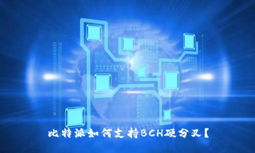 比特派如何支持BCH硬分叉？