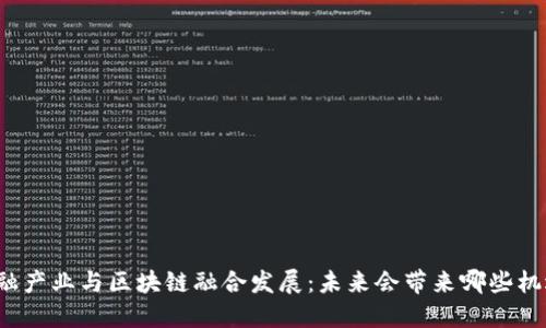 Title: 金融产业与区块链融合发展：未来会带来哪些机遇与挑战？