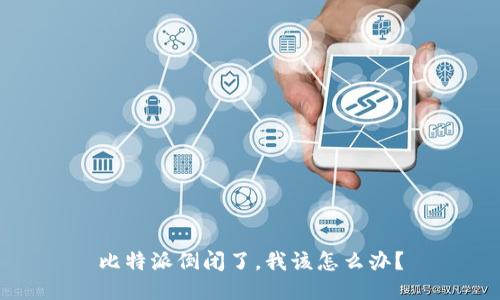 比特派倒闭了，我该怎么办？
