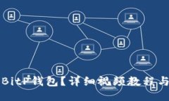 如何使用BitP钱包？详细视频教程与操作指南