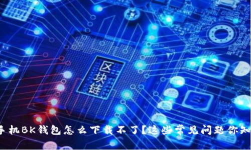 小米手机BK钱包怎么下载不了？这些常见问题你知道吗？
