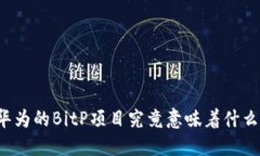 华为的BitP项目究竟意味着什么？