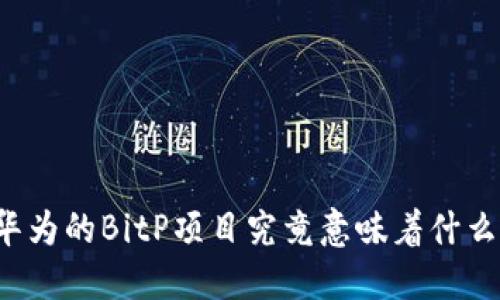 华为的BitP项目究竟意味着什么？