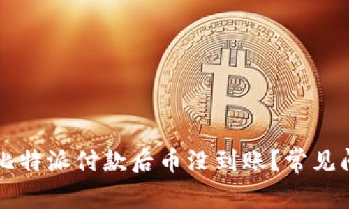 为什么比特派付款后币没到账？常见问题解析