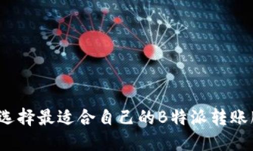 如何选择最适合自己的B特派转账服务？