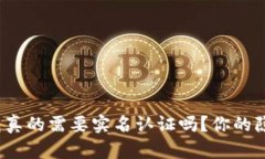  b特派钱包真的需要实名认证吗？你的隐私安全吗