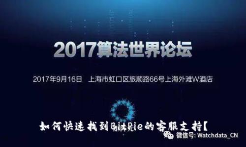 如何快速找到BitPie的客服支持？