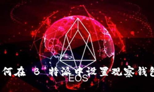 如何在 B 特派中设置观察钱包？