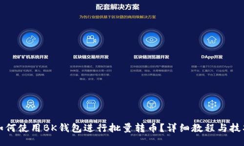 如何使用BK钱包进行批量转币？详细教程与技巧