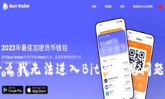 为什么我无法进入BitP？常见问题解析