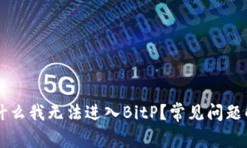 为什么我无法进入BitP？常见问题解析