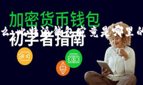 比特派钱包是一款备受用户喜爱的数字资产管理工具，但很多人对它的背后开发公司并不太了解。那么，比特派钱包究竟是哪里的公司开发的呢？接下来，我们将深入探讨这款钱包的起源、特点及其在数字货币生态系统中的重要性。

比特派钱包是哪里开发的？背后公司揭密