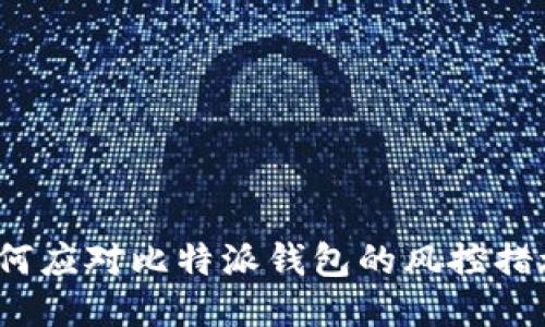 如何应对比特派钱包的风控措施？