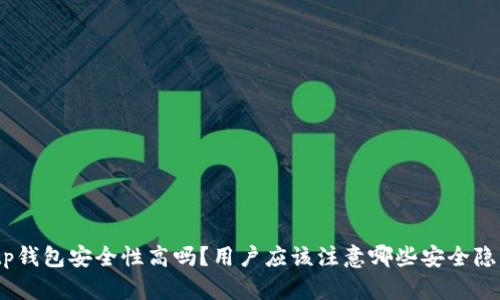 bitp钱包安全性高吗？用户应该注意哪些安全隐患？